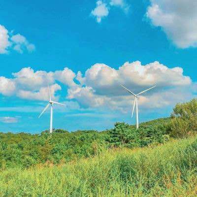 荒野迷城游戏下载